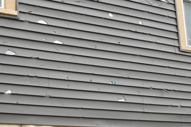 Best Custom Trim and Detailing for Siding  in Olivet, NJ